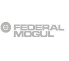 lohmann_federal_mogul